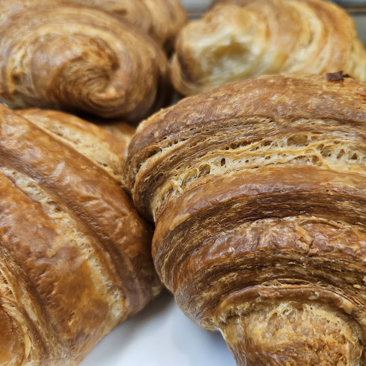 Ginger’s Bread & Co Looking to New Kitchen Horizons