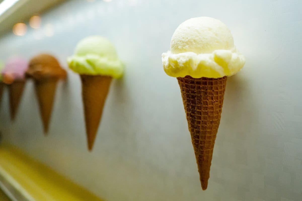New ice cream parlor to serve up frozen treats in Garden City