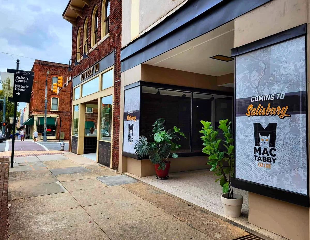 Mac Tabby Cat Cafe Expanding to Salisbury Next Year