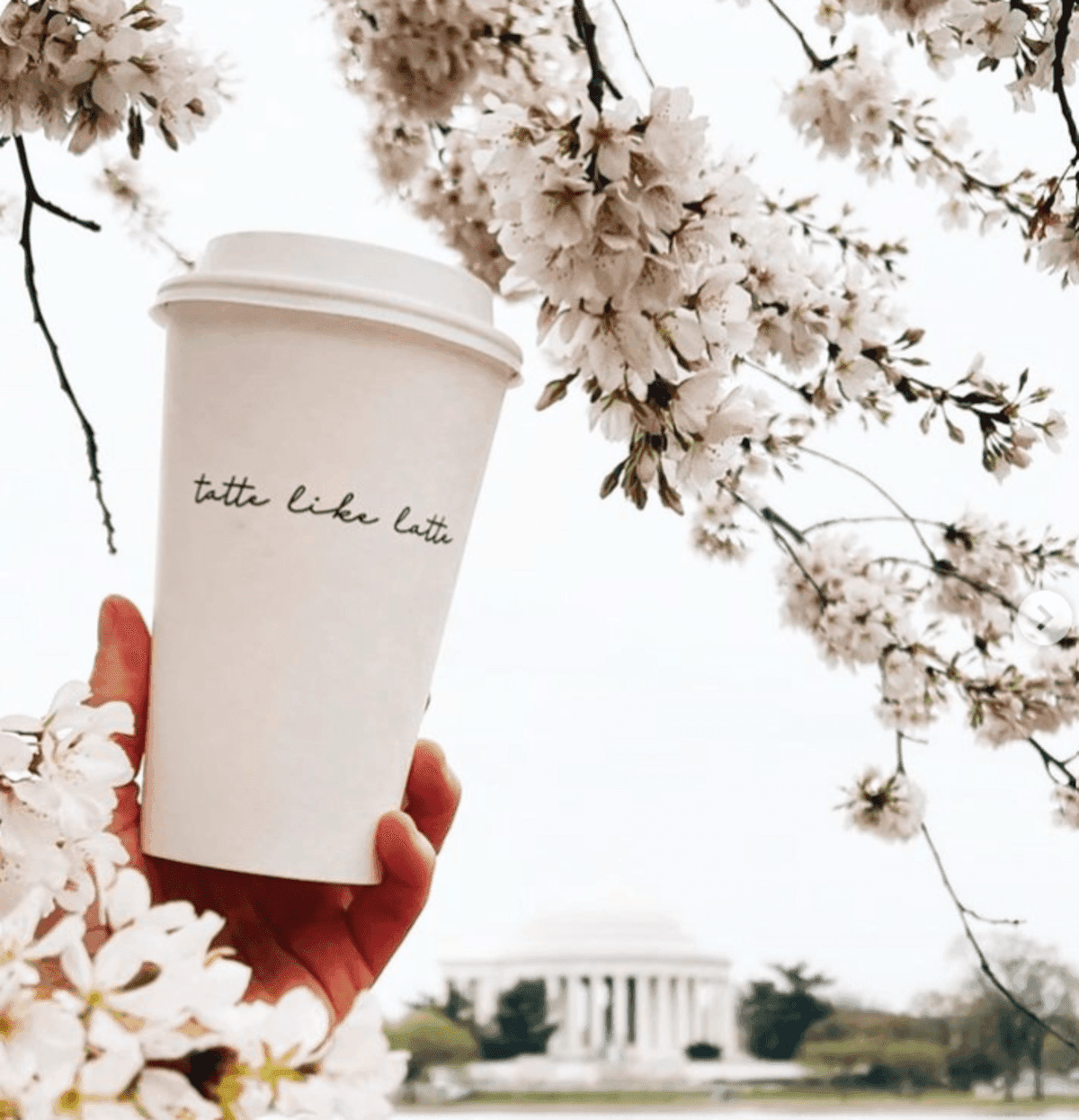 Tatte Bakery Coming to Georgetown