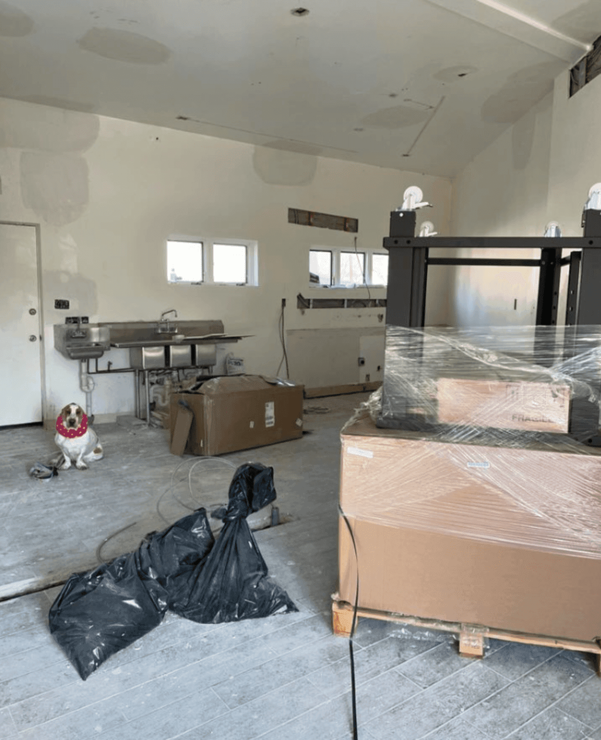 Red Hound Pizza Bringing Superior Pies and Slices to Takoma Park