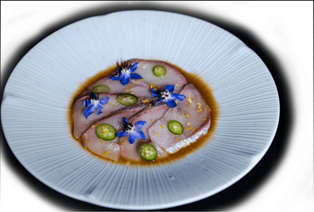 Eden on Brand Introduces UMI: A Pinnacle Japanese Dining Experience
