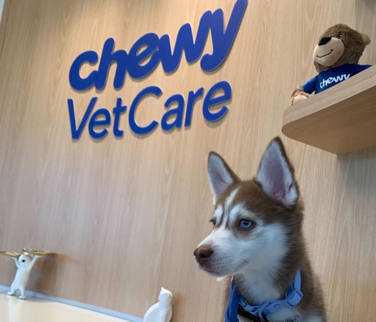 New Vet Clinic Proposed for Midtown