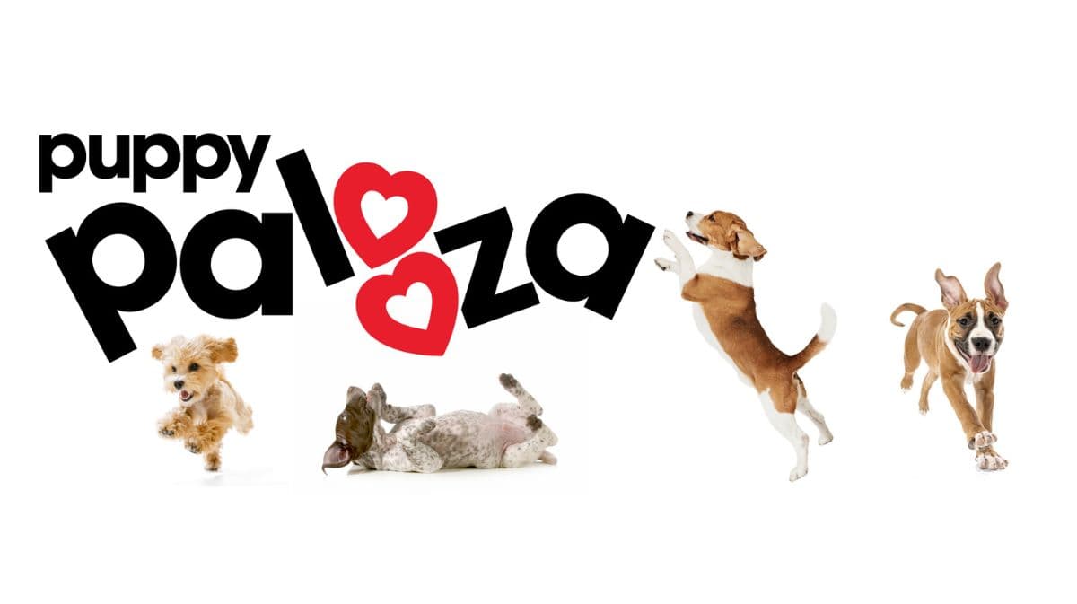 Puppy Palooza 2025 will be celebrating National Puppy Day