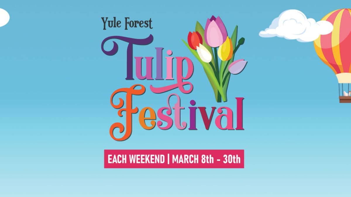 Yule Forest Tulip Festival 2025 will happen starting on March 8