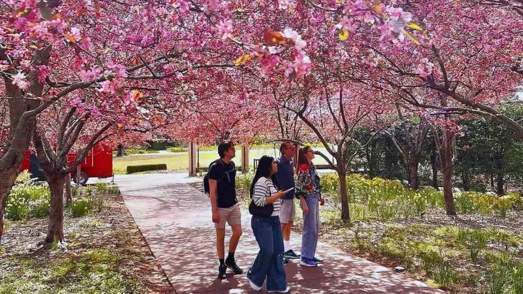 Atlanta Botanical Garden is Decked up for Garden Party