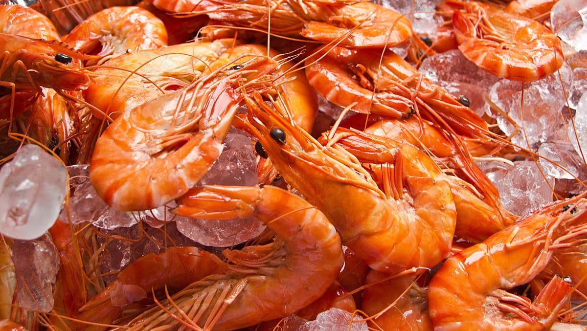 FDA issues public warning against consumption of imported frozen shrimp