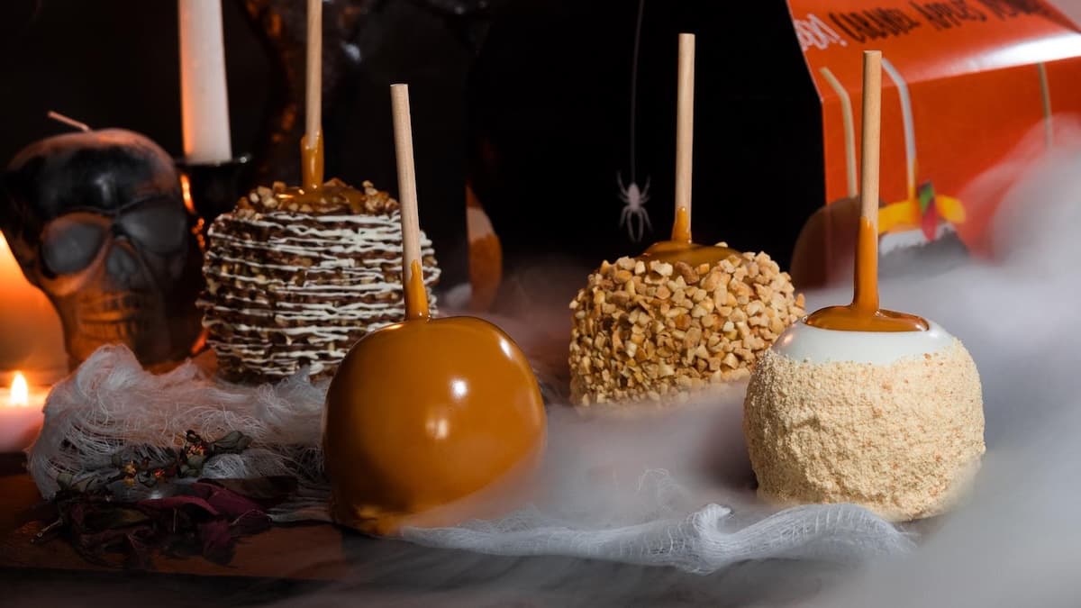 Rocky Mountain Chocolate Factory to Sweeten Folsom's Palladio