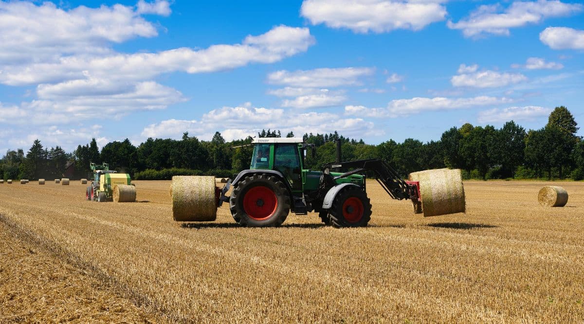 The Washington-based exporter of hay and forage products is currently struggling with financial troubles along with its affiliates.