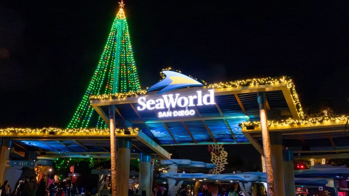 Kicking off on November 14, the show will run on select nights through January 4, 2026