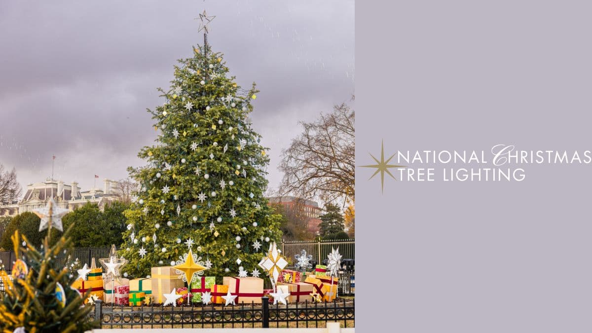 2025's National Christmas Tree