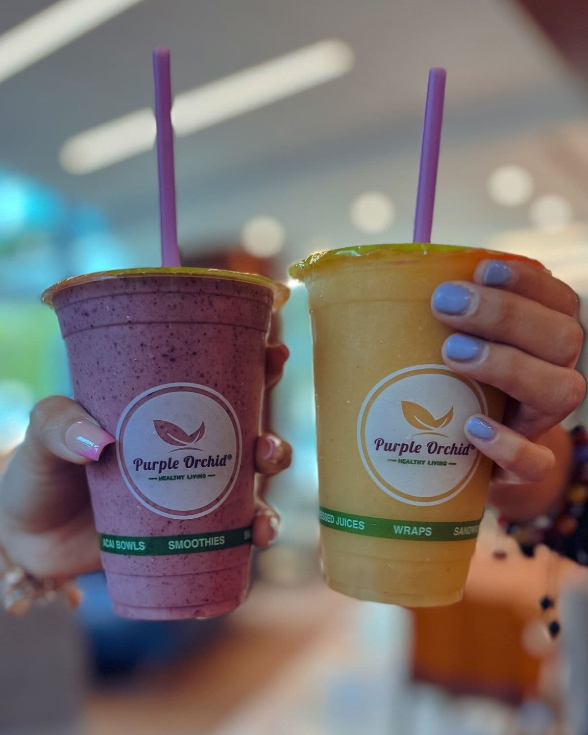 Purple Orchid Will Bring Smoothies, Salads, and More to Miami Shores
