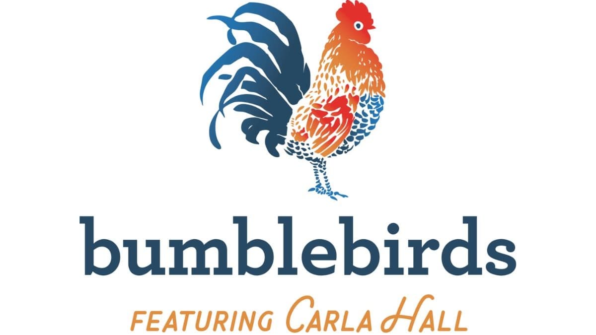 Celebrity chef Carla Hall is opening Bumblebirds, a new Southern fried chicken restaurant on Capitol Hill, featuring her art-inspired decor.
