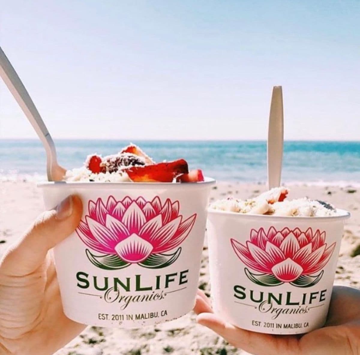 SunLife Organics to Open at Miami Worldcenter