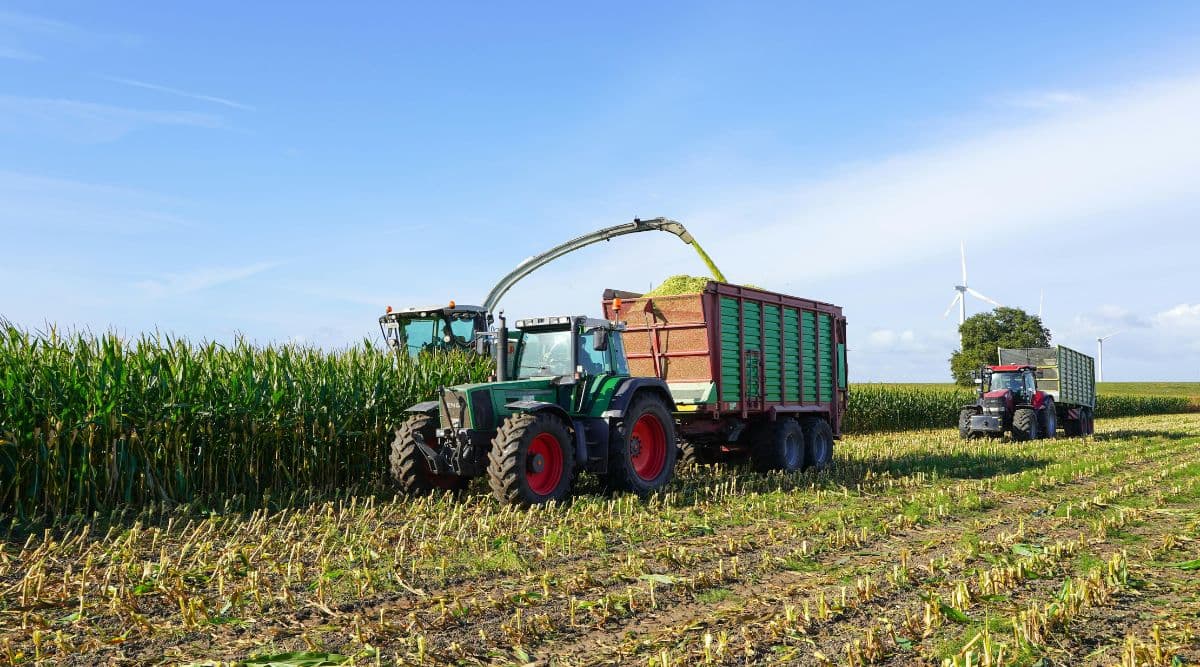Smokin Oaks Organic Farms, LLC filed a bankruptcy petition
