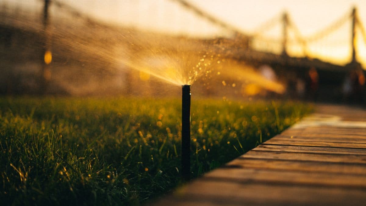 A North Texas Irrigation Company Has Filed for Chapter 11 Bankruptcy