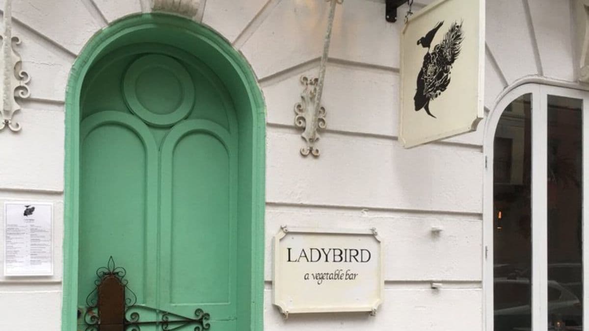 Plant-Based Tapas Restaurant in NYC’s East Village Is Closing