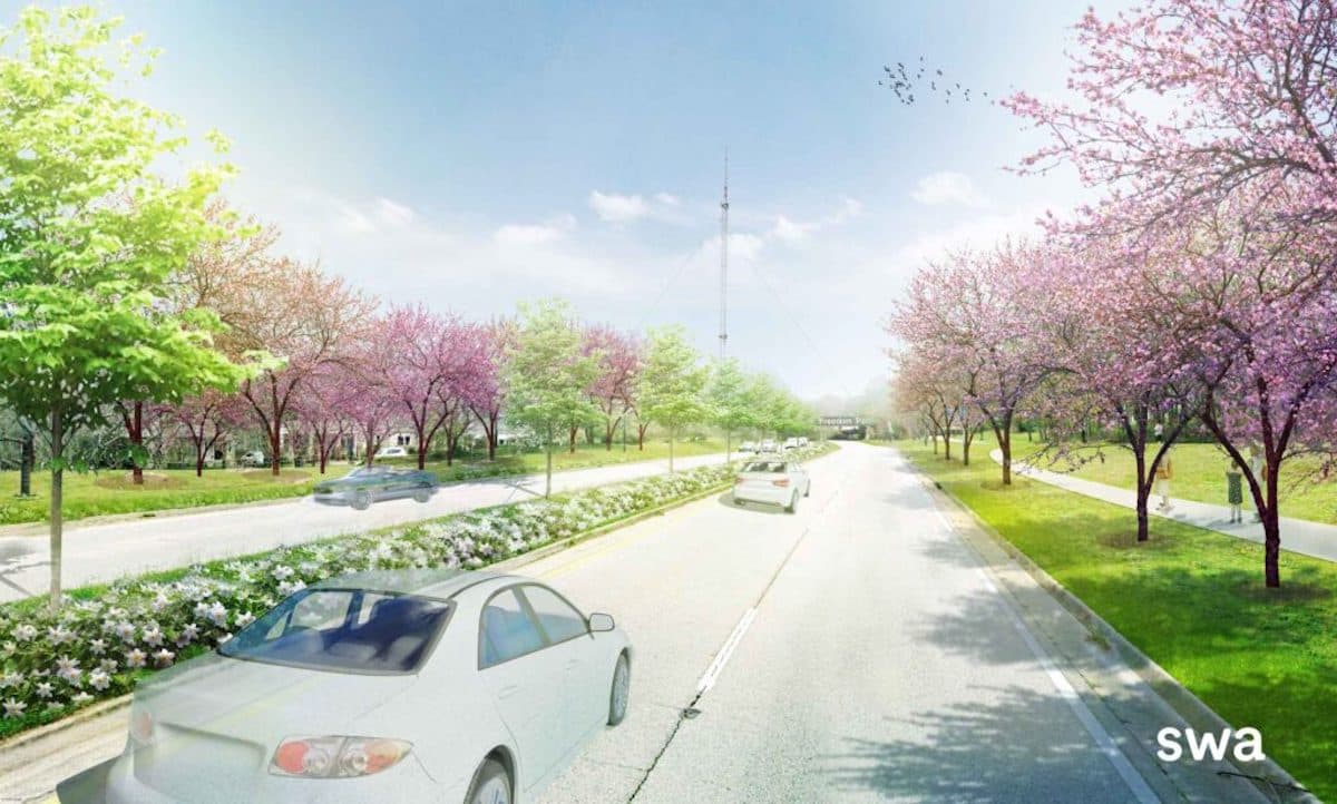 Freedom Park Conservancy To Create 'Flowering Forest' Tree Tribute to Civil Rights Leader John Lewis - Rendering