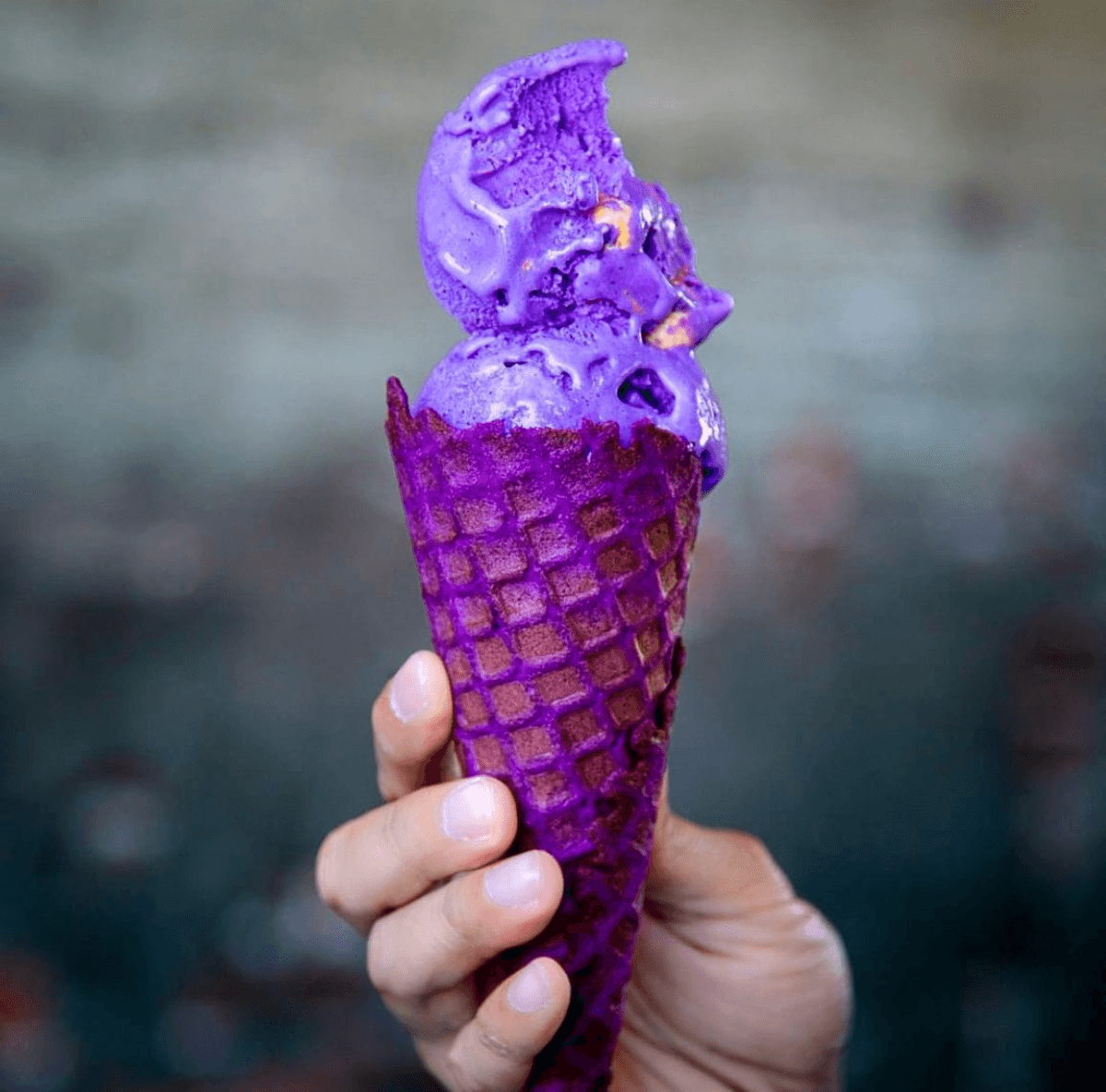 Adrienne Borlongan’s Wanderlust Creamery Adds Another Location