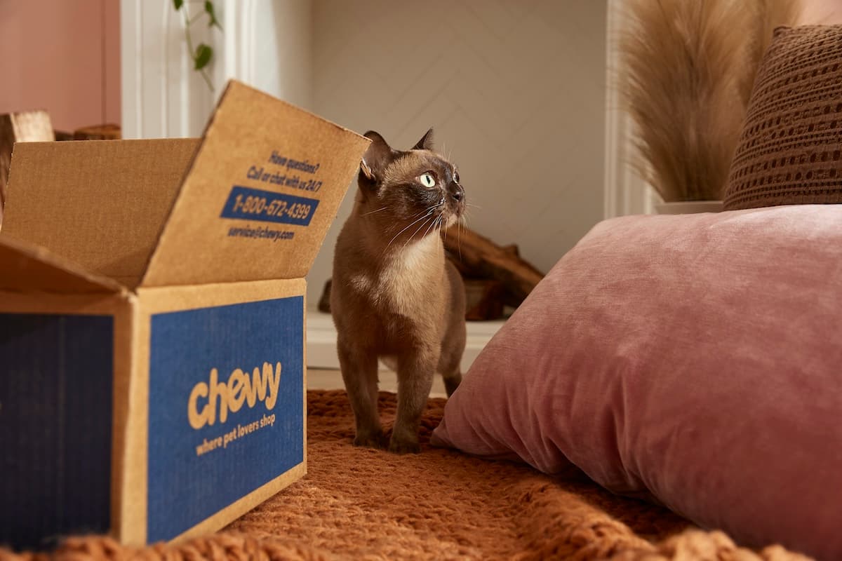 Chewy to Open Two Veterinary Practices in Atlanta Photo 01