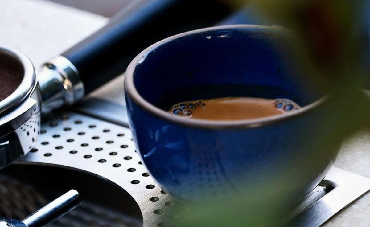 New Coffee Shop and Wine Bar Coming to CITRA at Fort Mose