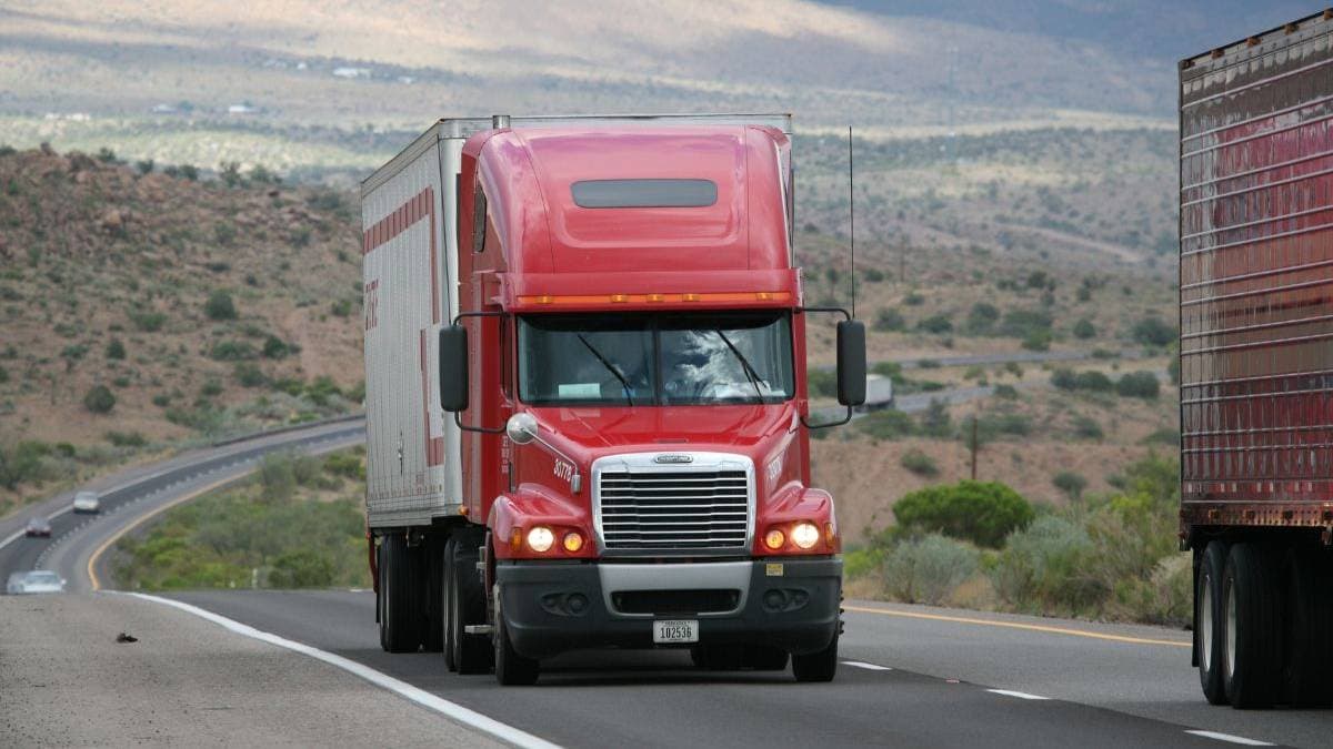 Triways Inc. filed a bankruptcy petition